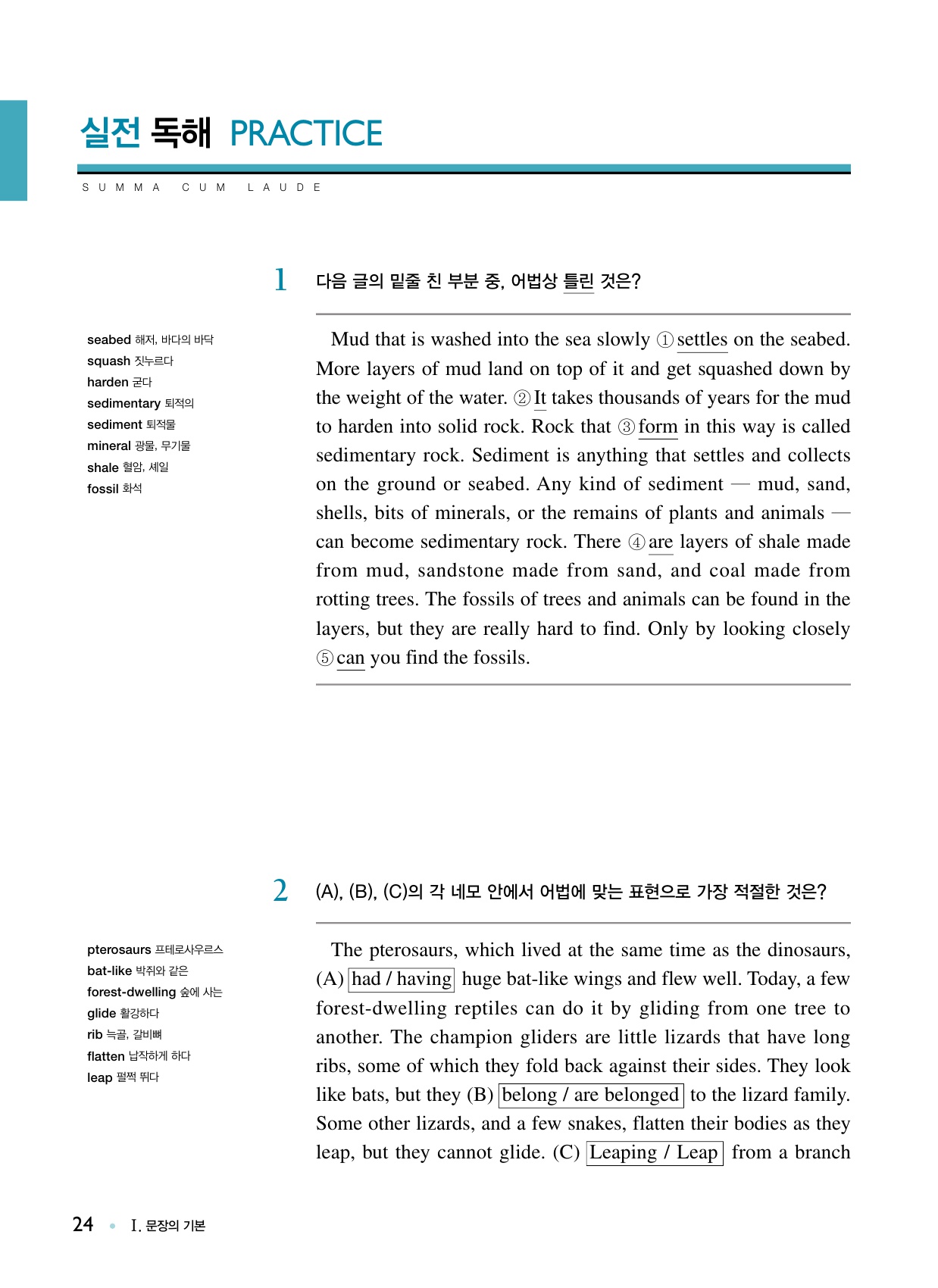 숨마쿰라우데 영어 구문독해 매뉴얼(MANUAL) 미리보기