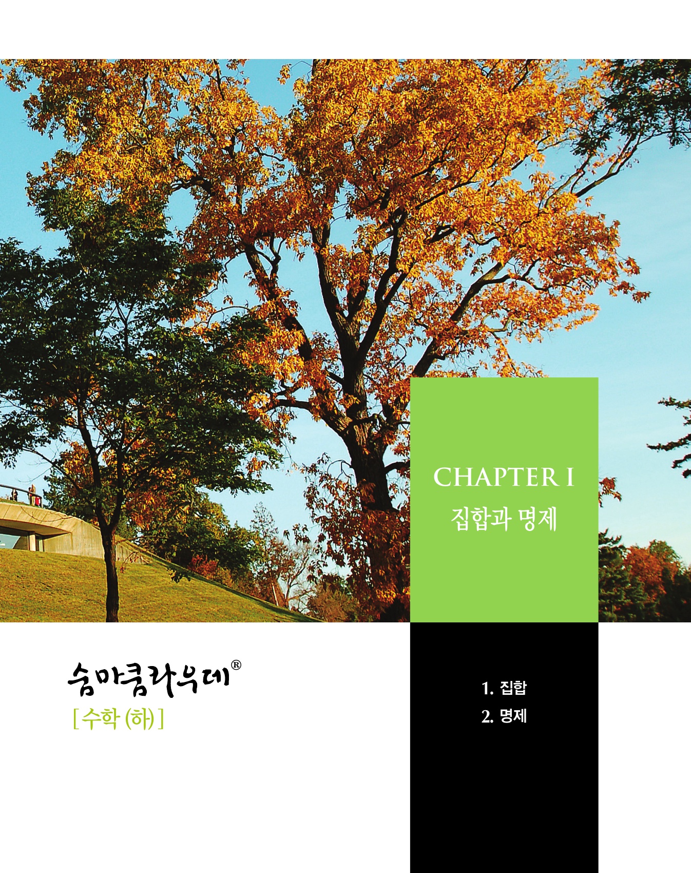 숨마쿰라우데 수학기본서 고등수학(하) 미리보기